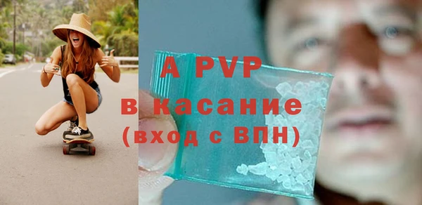 шишки Козельск