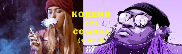 шишки Козельск