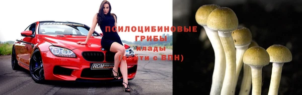 шишки Козельск