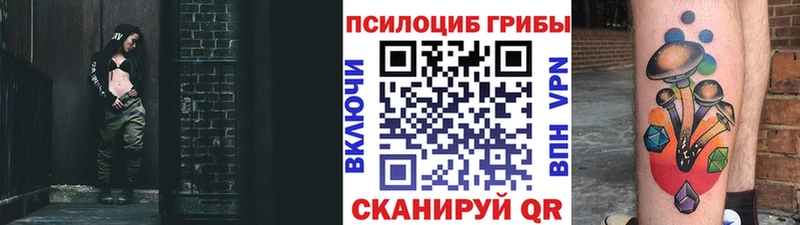 Галлюциногенные грибы Psilocybe  хочу наркоту  блэк спрут ТОР  Моршанск 
