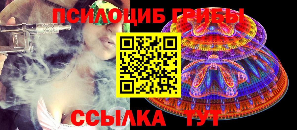 Псилоцибиновые грибы мицелий Моршанск
