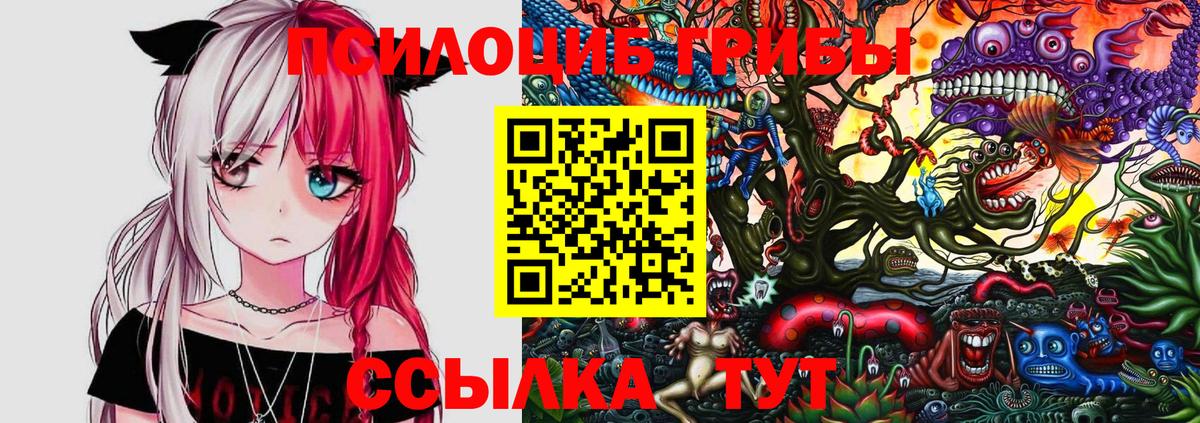 Псилоцибиновые грибы MAGIC MUSHROOMS  Псилоцибиновые грибы мухоморы  Вход с VPN  Моршанск 